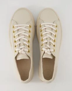 Paul Green Sneaker In Beige -Tretter Geschaft T 25550000092 pic11