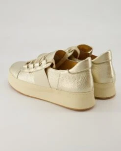 Trumans Schnürschuh In Gold -Tretter Geschaft T 25577000078 pic3