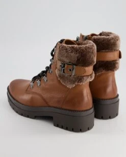 Terry Schnürstieflette In Braun -Tretter Geschaft T 29240000085 pic3